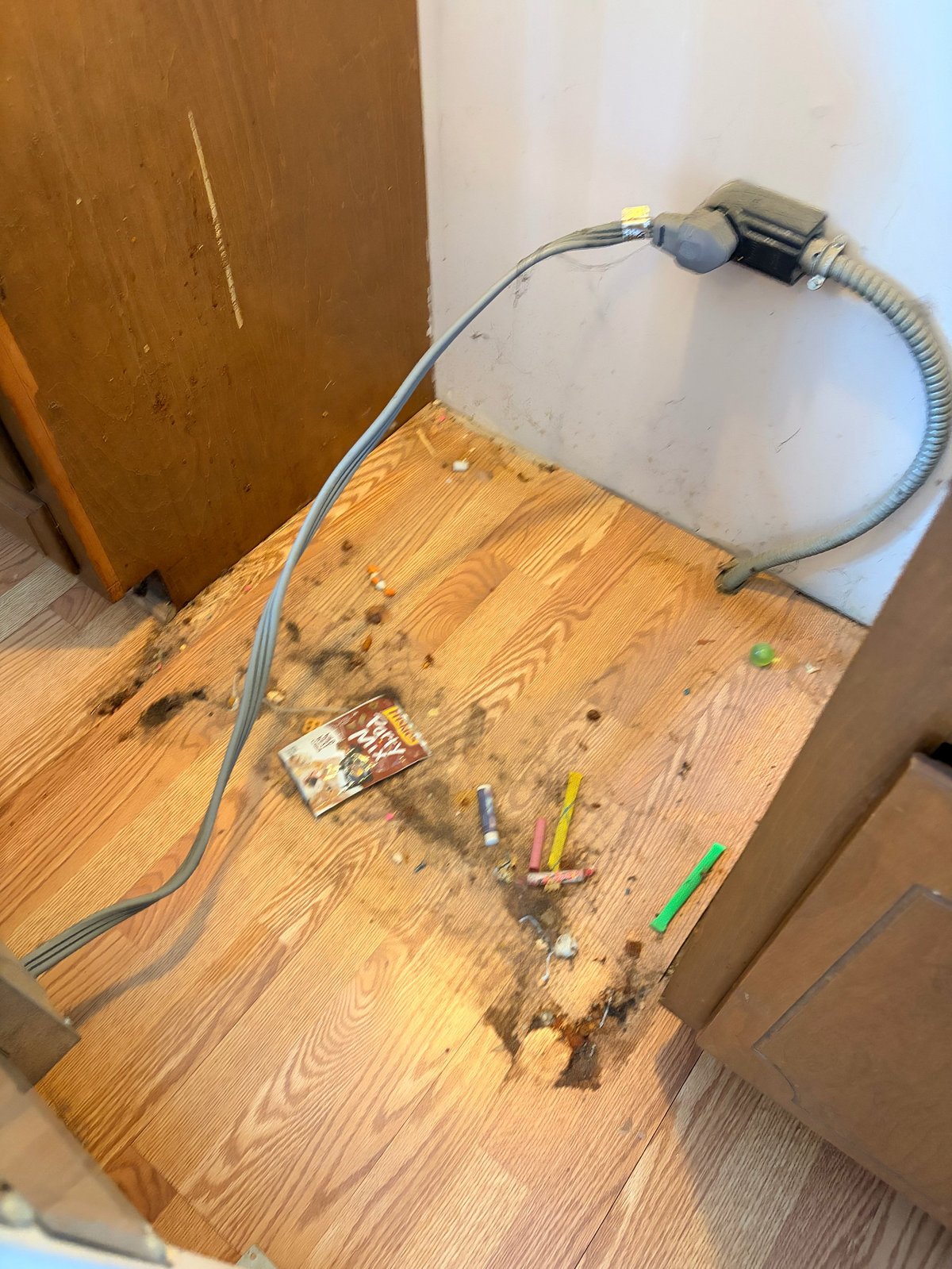 Water damage on wooden floor with blue hose, showing wet debris and scattered items near white wall and brown door