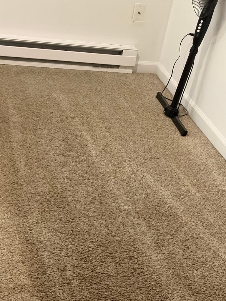 Empty room with beige carpet, white walls, baseboard heater, and black exercise bike stand