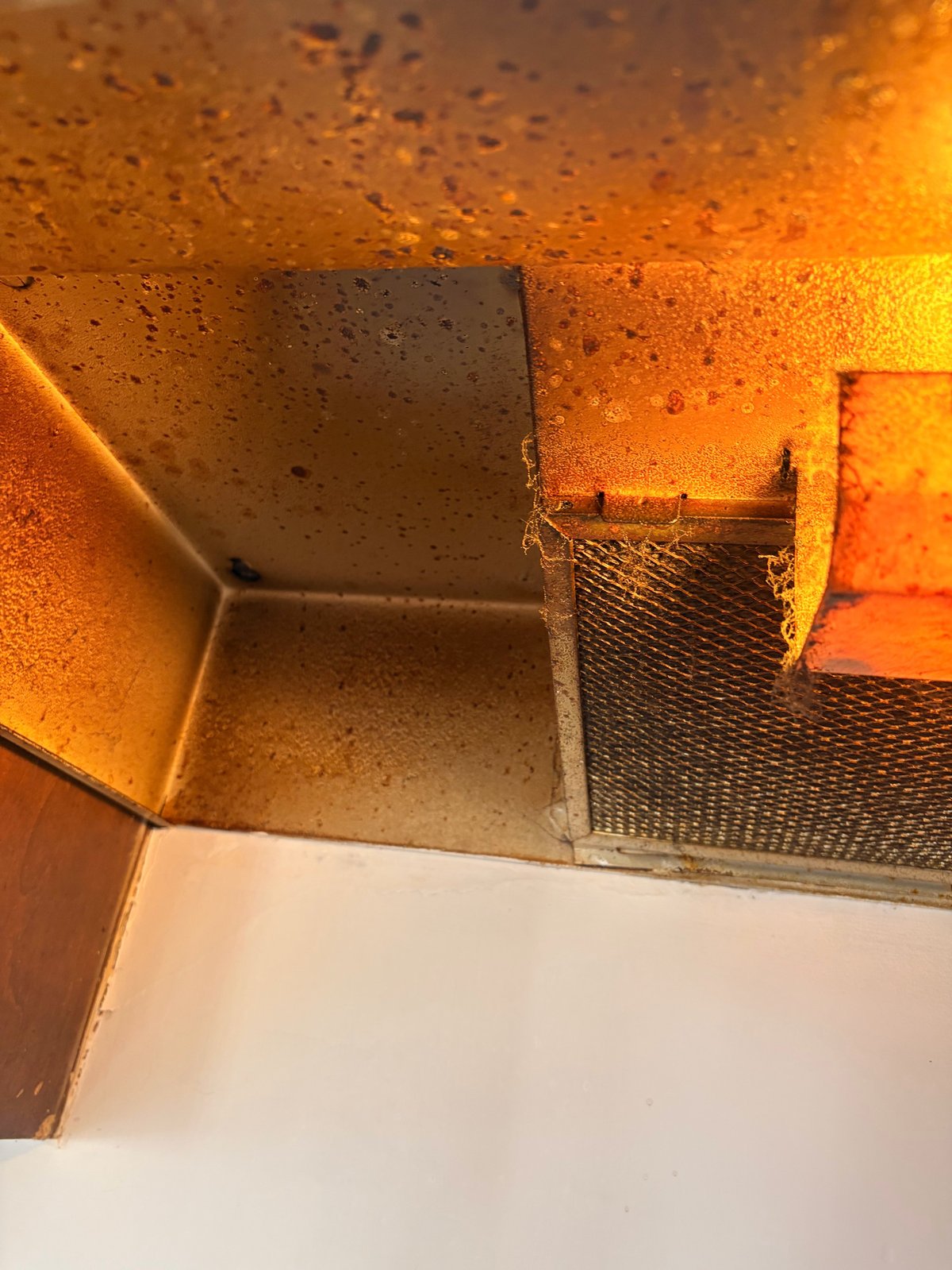 Interior of a fireplace or oven showing metal grating, ash accumulation, and orange-glowing surfaces under warm lighting