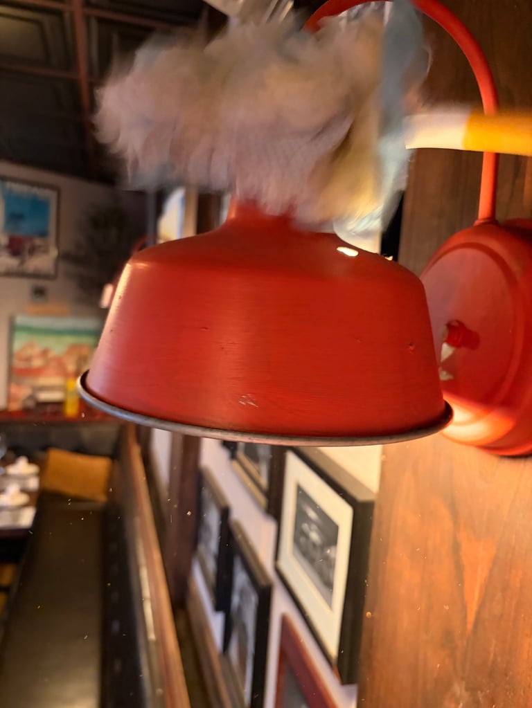 Red dome-shaped pendant lamp with white feathered shade hanging in a room with warm lighting