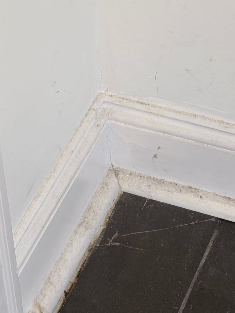 Close-up of dusty white trim molding along interior wall corner meeting dark tile flooring